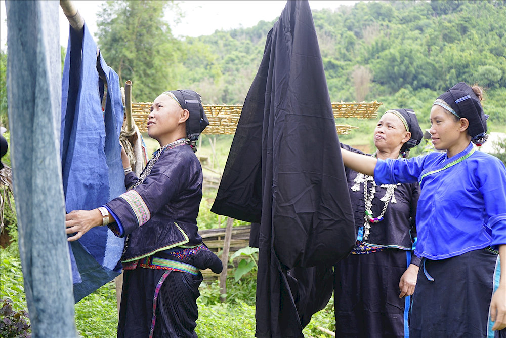The art of dyeing with natural indigo is a distinctive and cherished tradition in Hmong culture 
